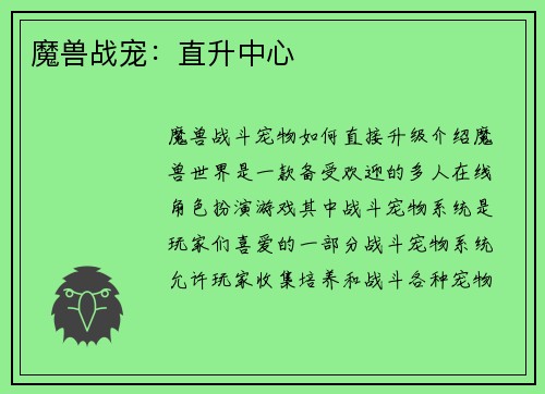 魔兽战宠：直升中心